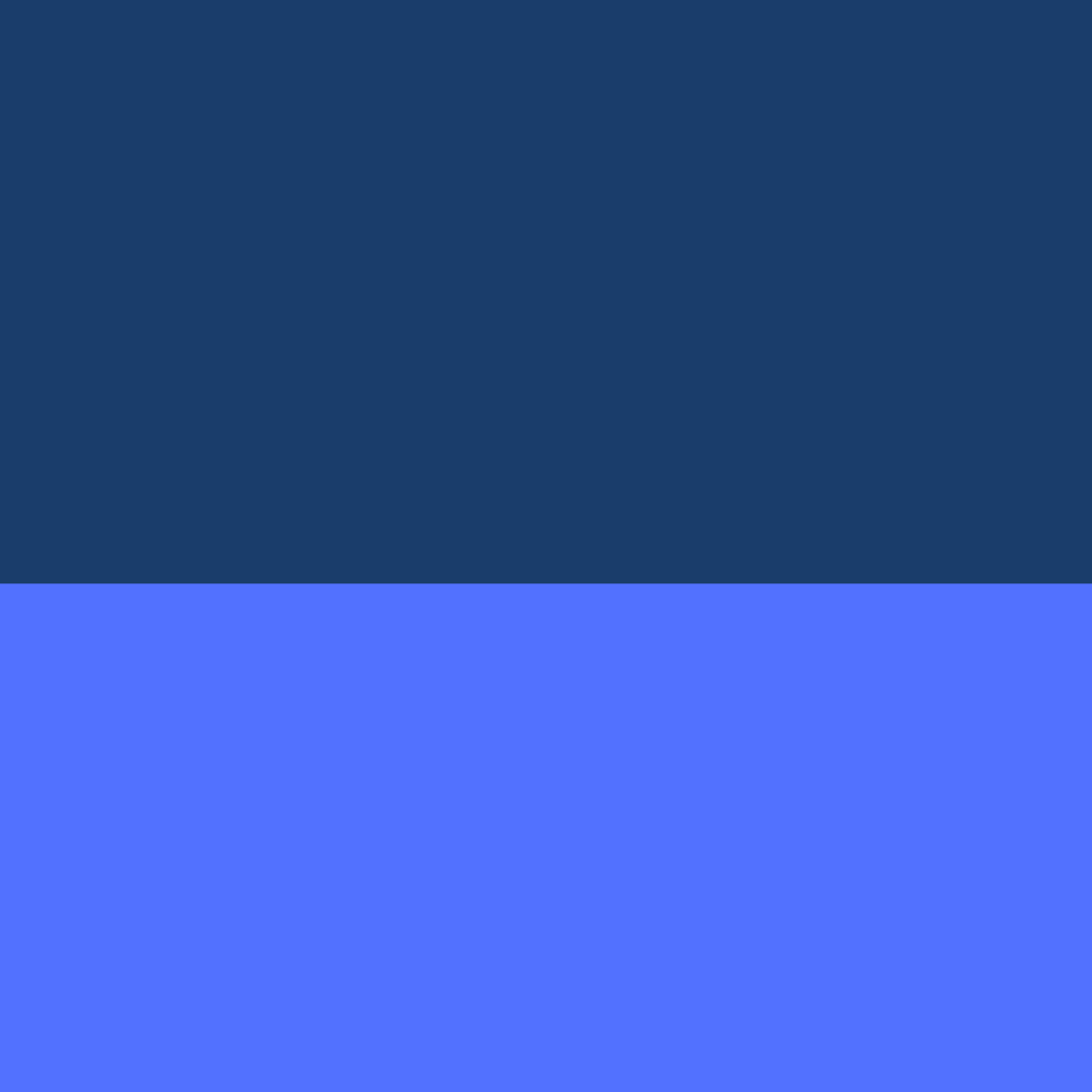 NAVY / ROYAL